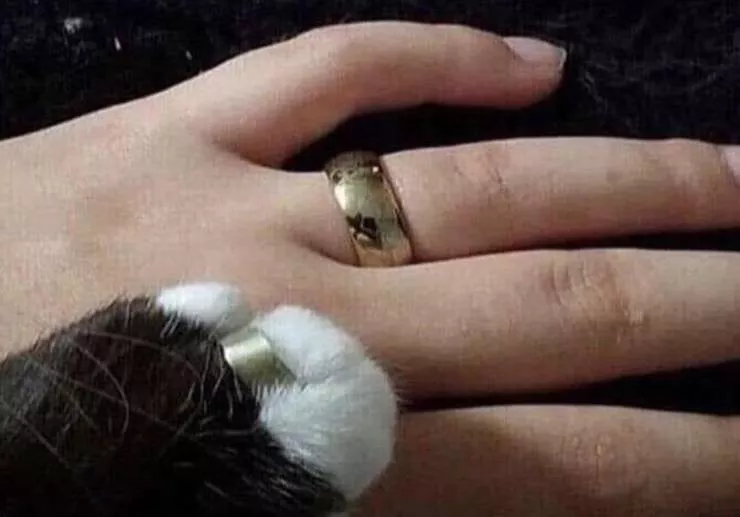 Picdump 576 - #13 