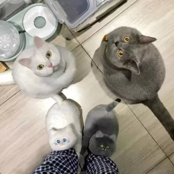 Picdump 576 - #17 