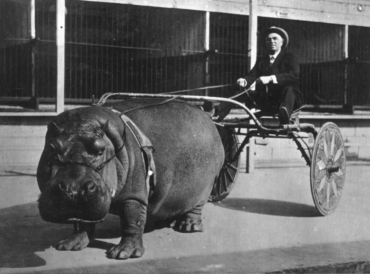 Picdump 576 - #34 