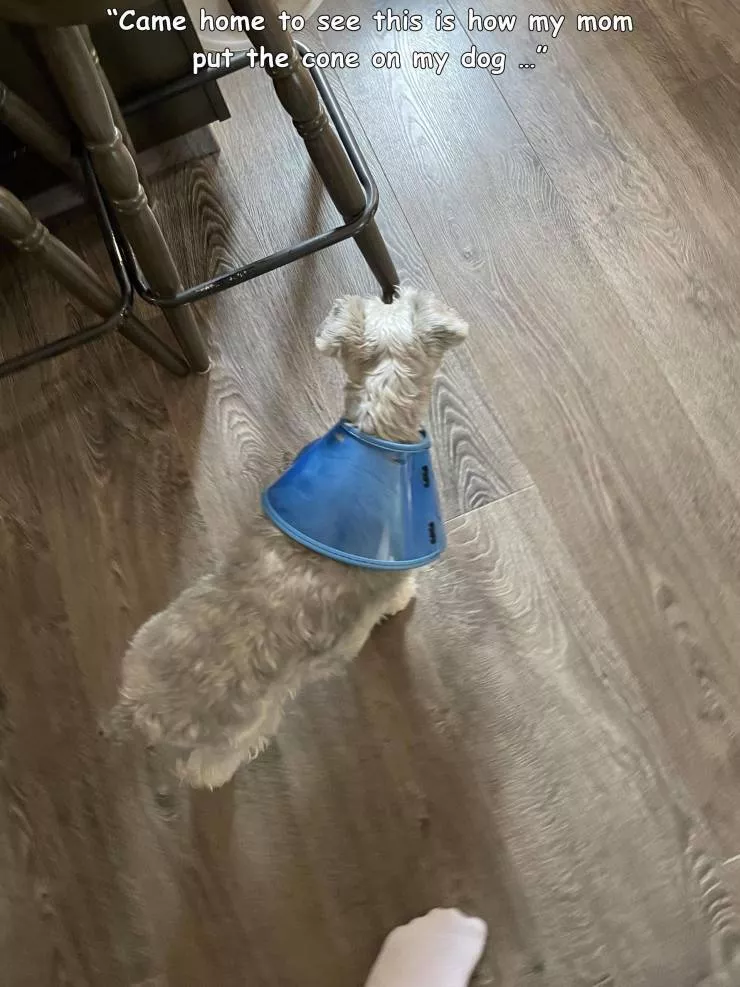 Picdump 576 - #40 