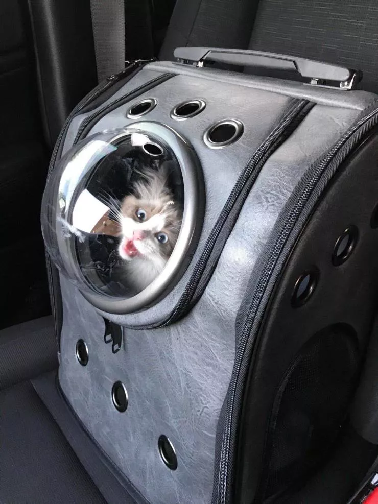 Picdump 576 - #56 