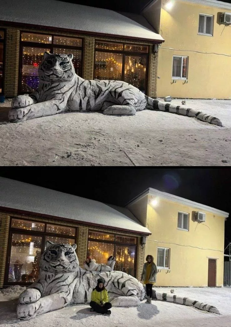 Picdump 577 - #11 
