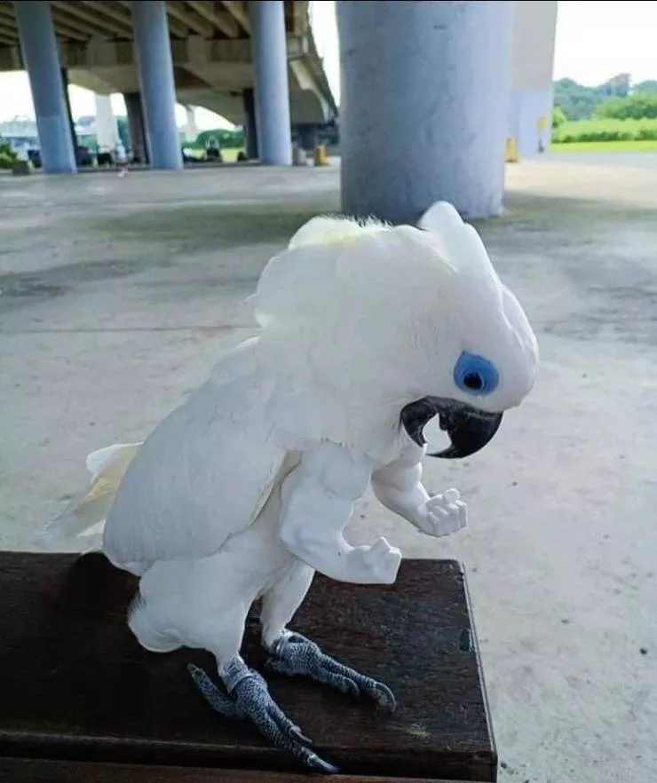 Picdump 577 - #7 