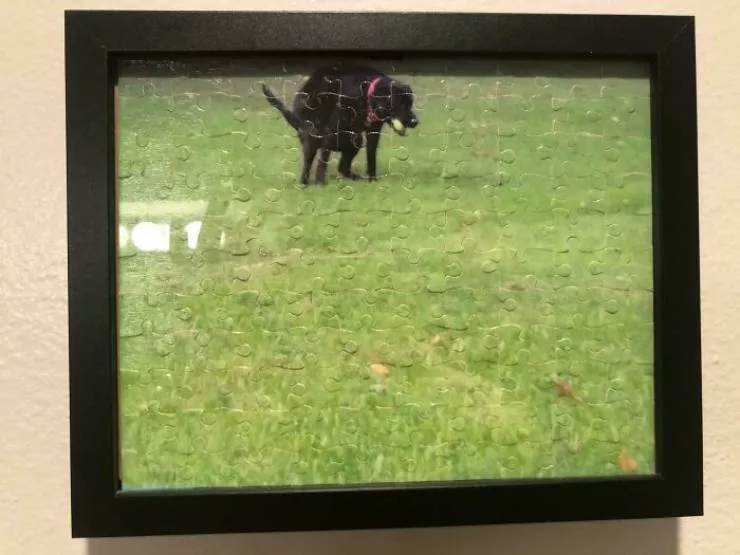 Funny gifts - #11 