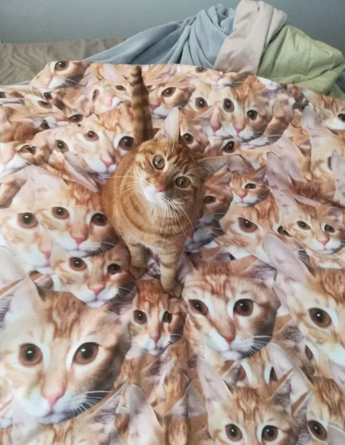 Funny gifts - #7 