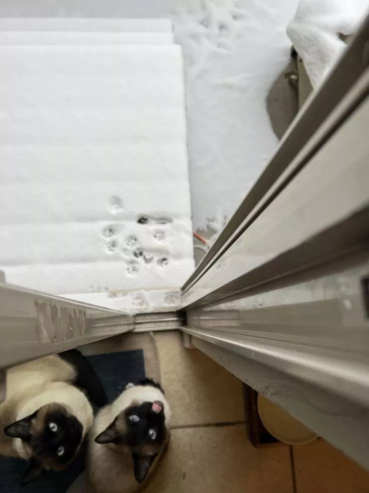 Picdump 578 - #26 