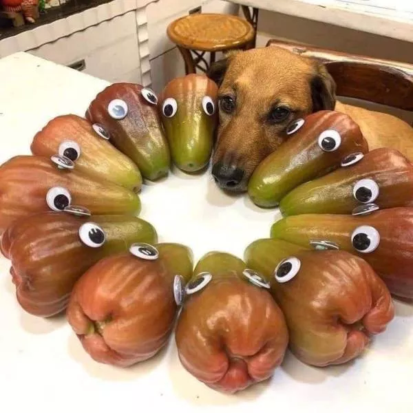 Picdump 578 - #30 