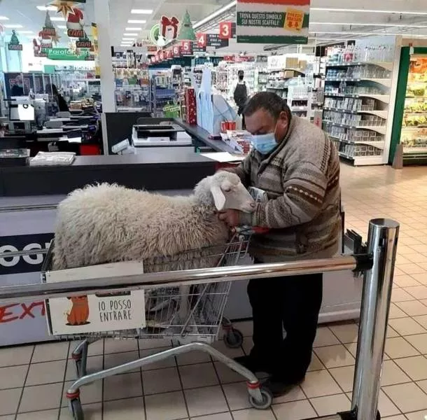 Picdump 578 - #9 