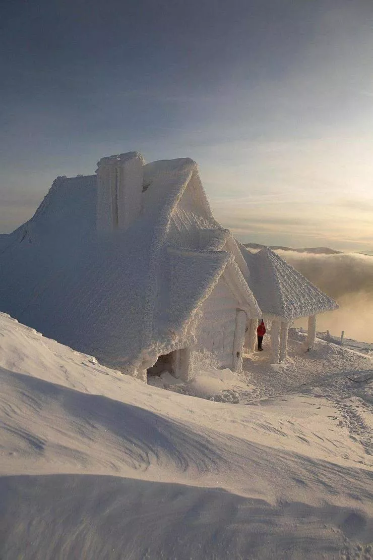 Picdump 579 - #11 