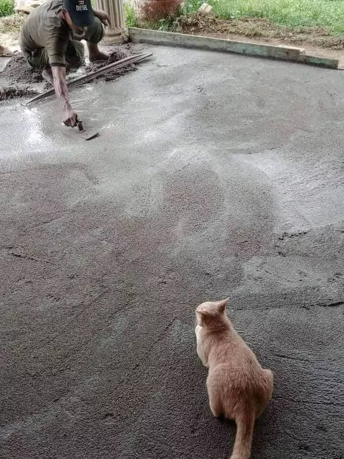 Picdump 579 - #15 