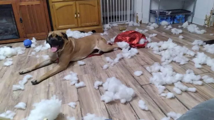 Picdump 579 - #23 