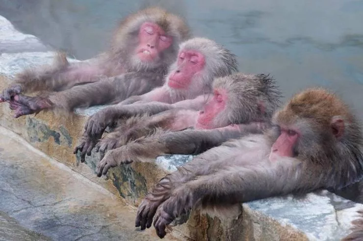 Picdump 579 - #38 
