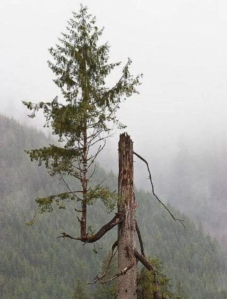 Picdump 579 - #44 
