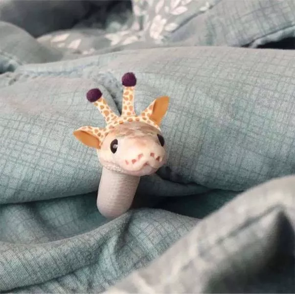 Picdump 579 - #50 