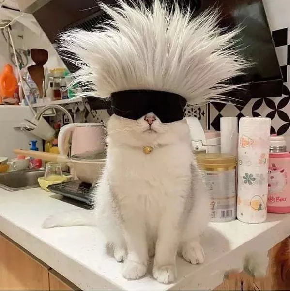 Picdump 579 - #75 