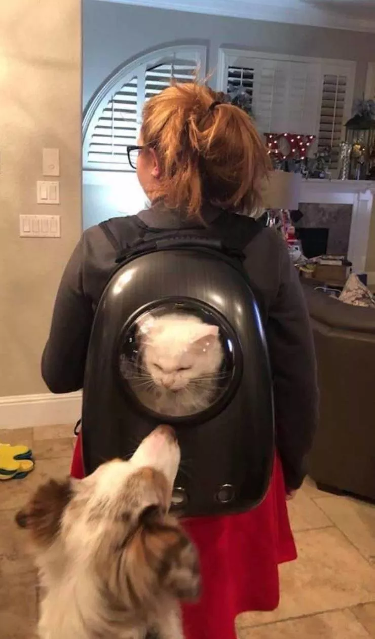 Picdump 579 - #9 