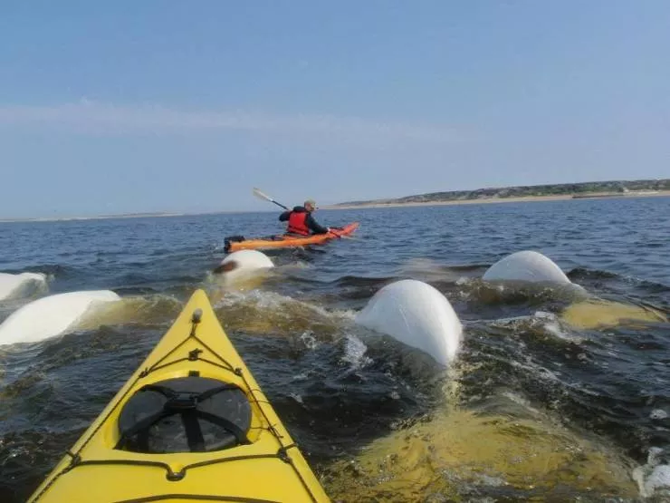 Picdump 580 - #4 