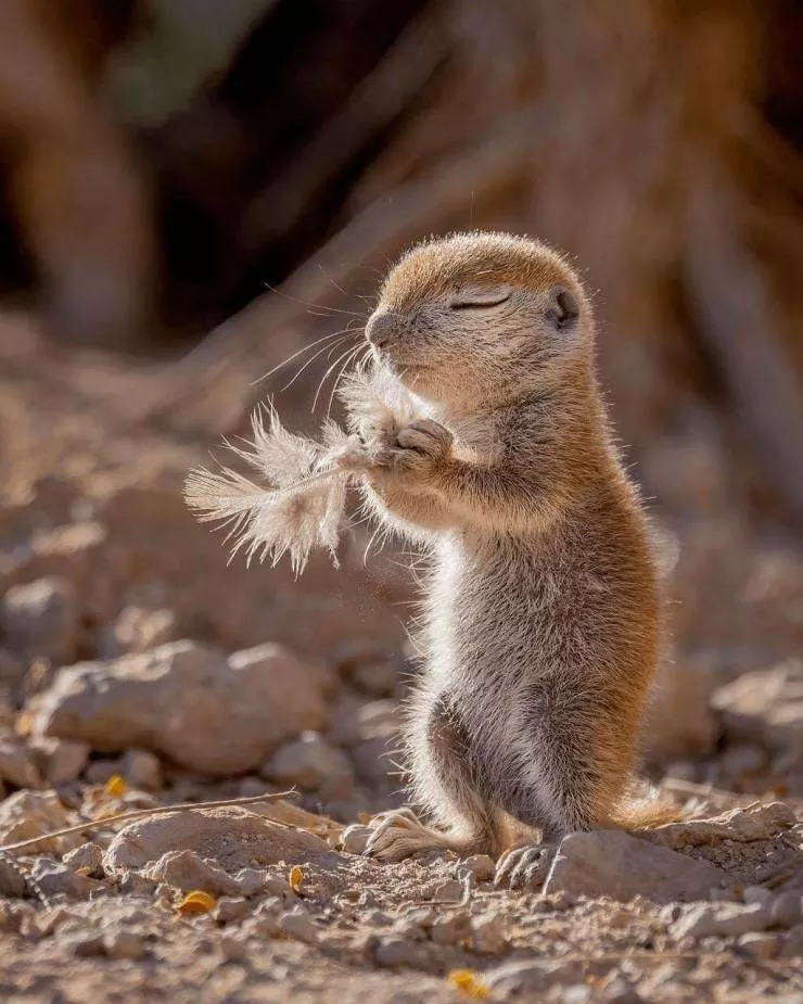 Picdump 580 - #62  Picdump 580 - #62