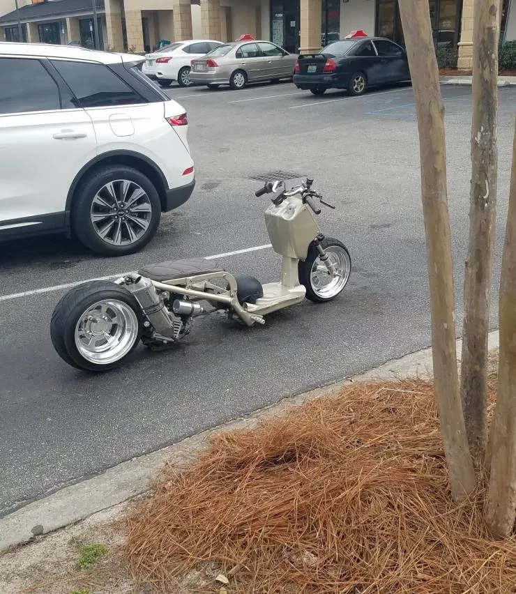 Picdump 581 - #43 