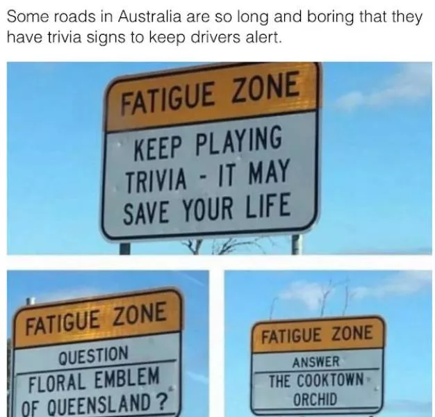 Genius ideas - #8 
