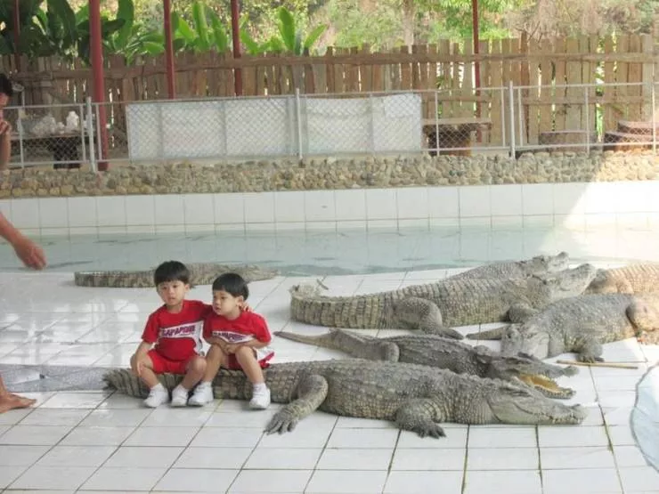 Picdump 582 - #49 