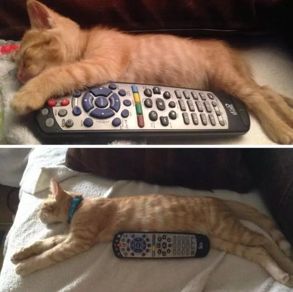 Picdump 582 - #52 