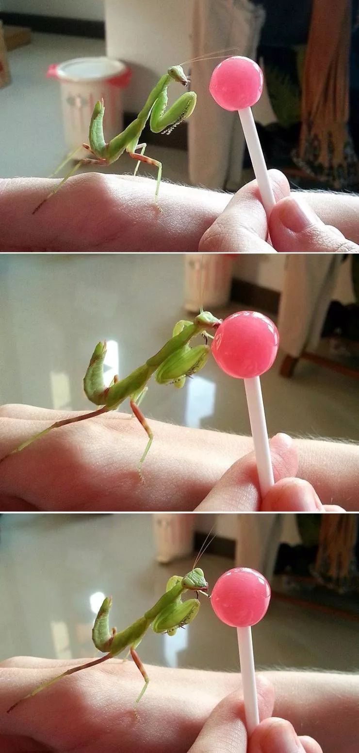 Picdump 582 - #80 