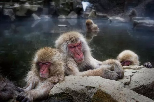 Picdump 93 - #14 