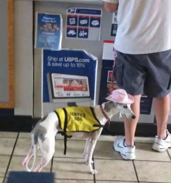 Picdump 93 - #24 