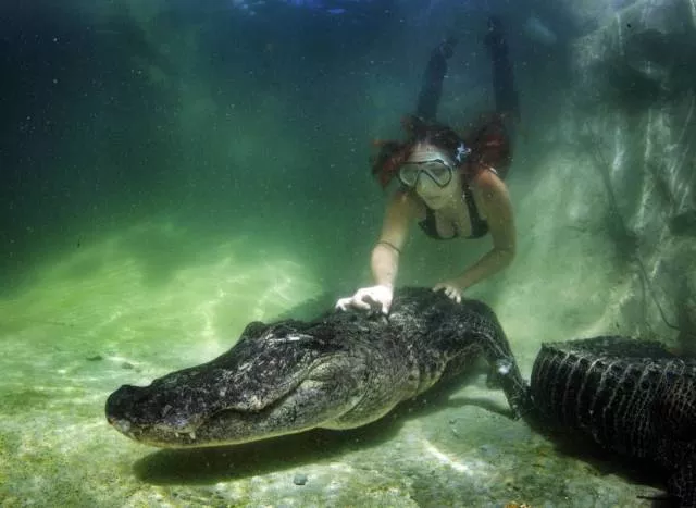 Picdump 93 - #4 