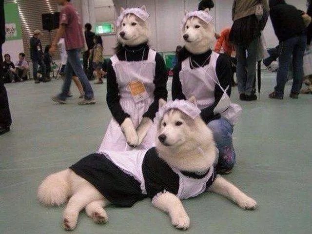 Picdump 93 - #40 