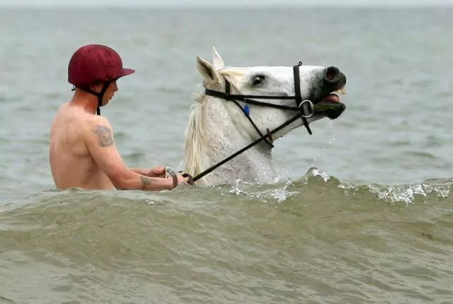 Picdump 93 - #54 