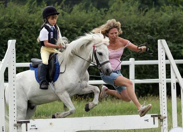 Picdump 93 - #60 