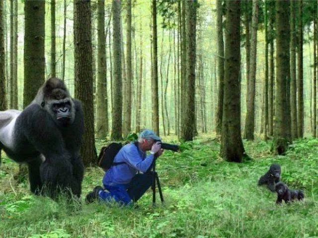 Picdump 93 - #63 