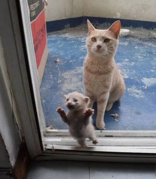 Picdump 93 - #65 