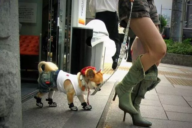Picdump 93 - #76 
