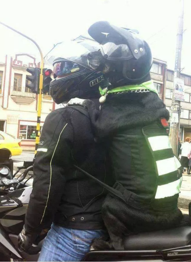 Picdump 584 - #26 