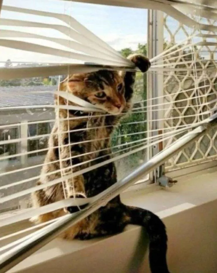 Picdump 584 - #29 