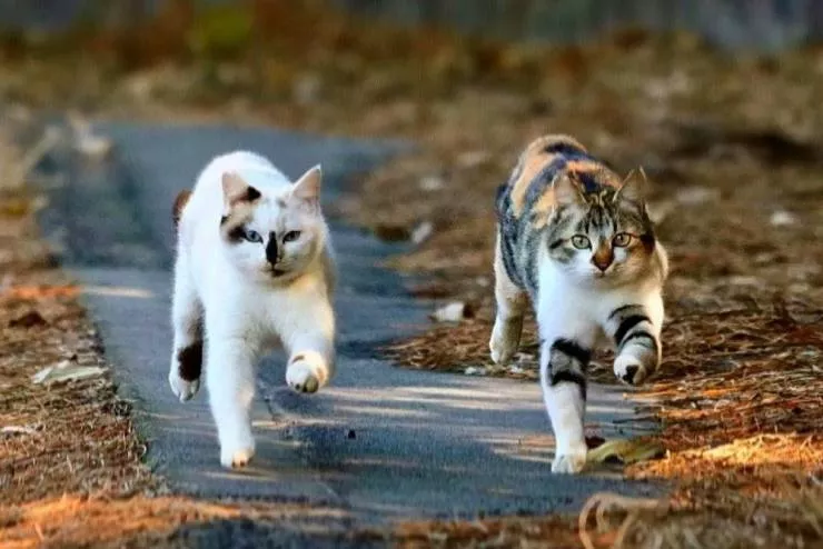 Picdump 584 - #36 