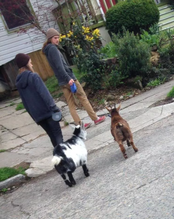 Picdump 584 - #41 
