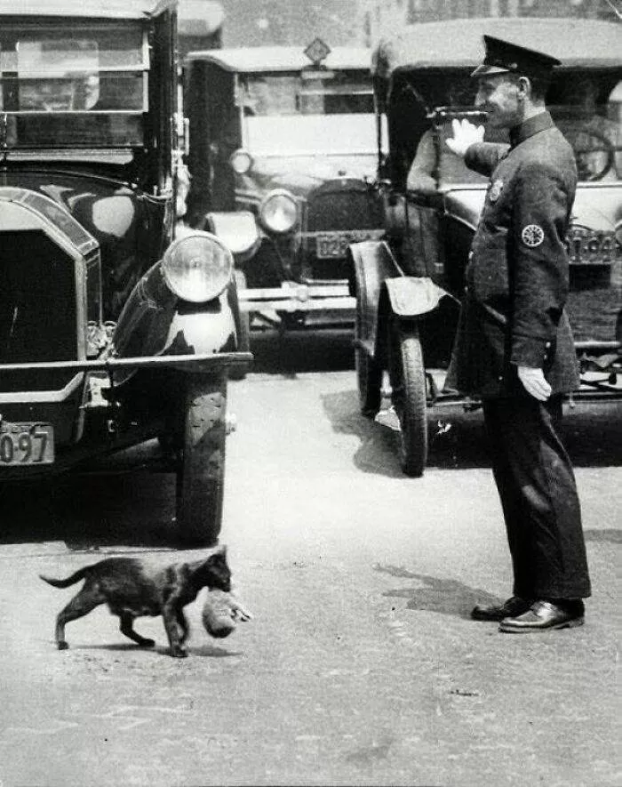 Very touching old photos