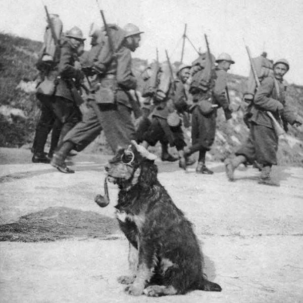 Very touching old photos - #15 1915