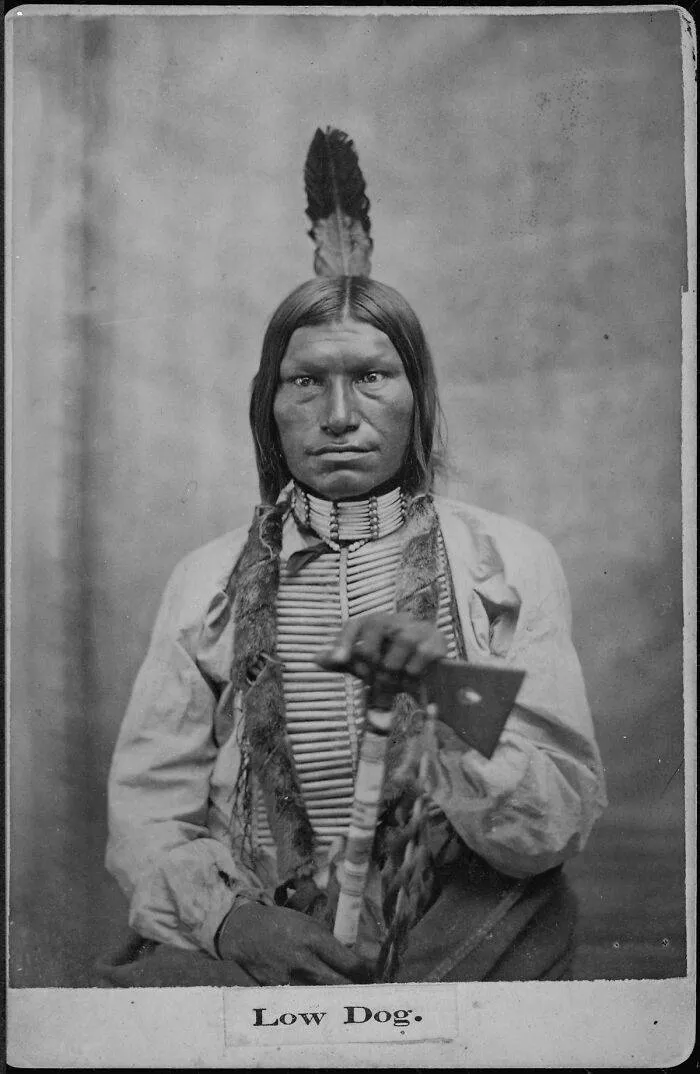 Very touching old photos - #27 Chef Low Dog 1881