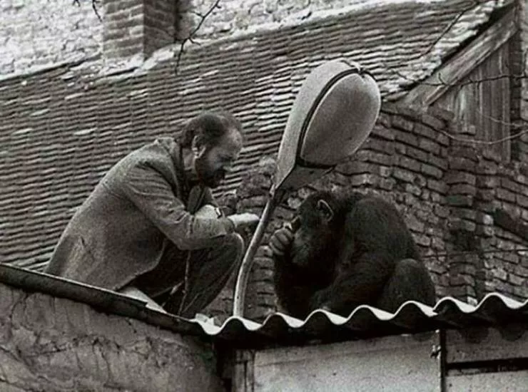 Des anciennes photos tres touchants - #38 1988