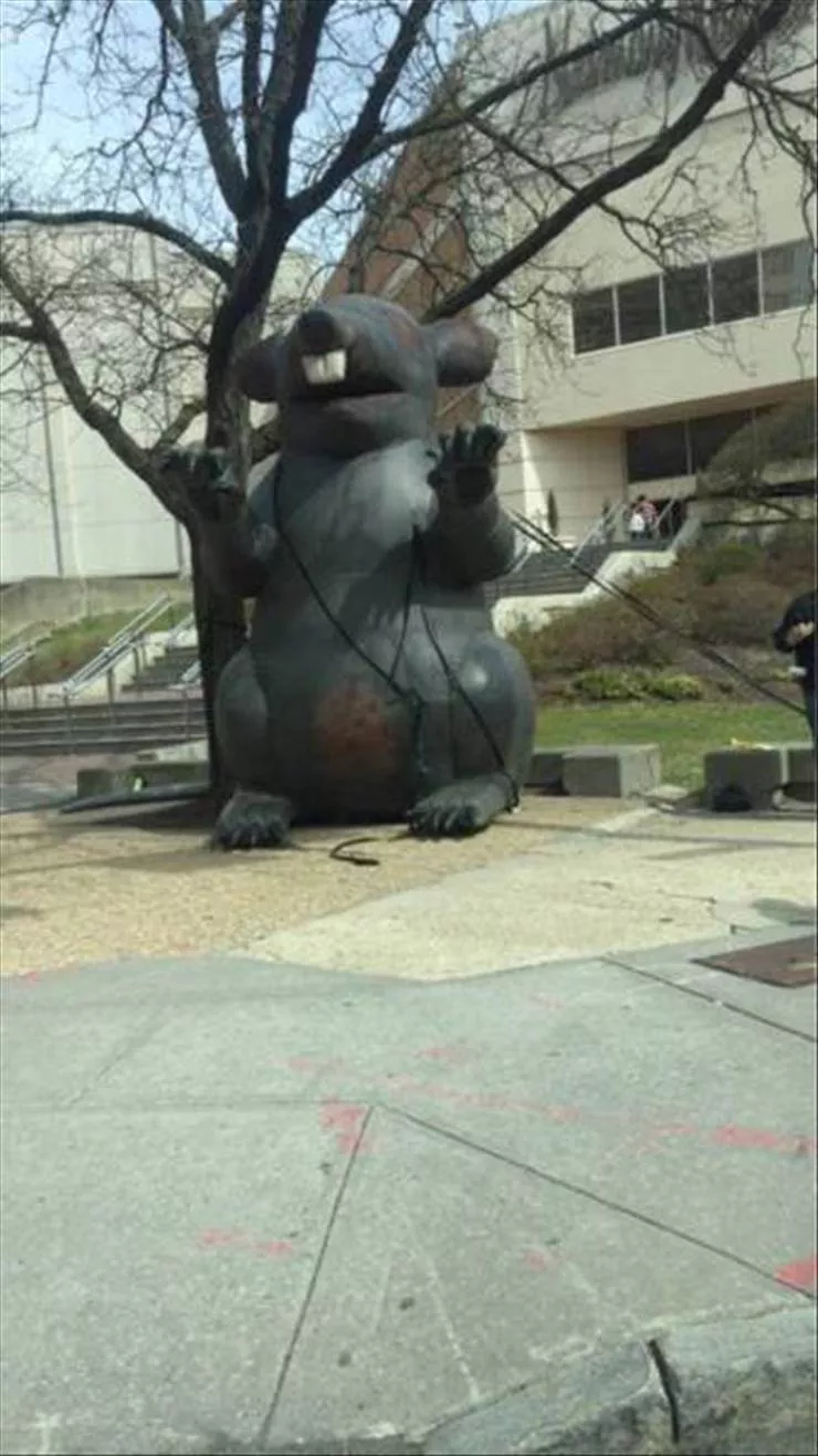 Picdump 585 - #3 