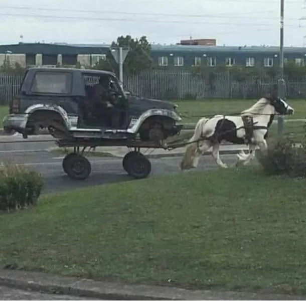 Picdump 585 - #41 
