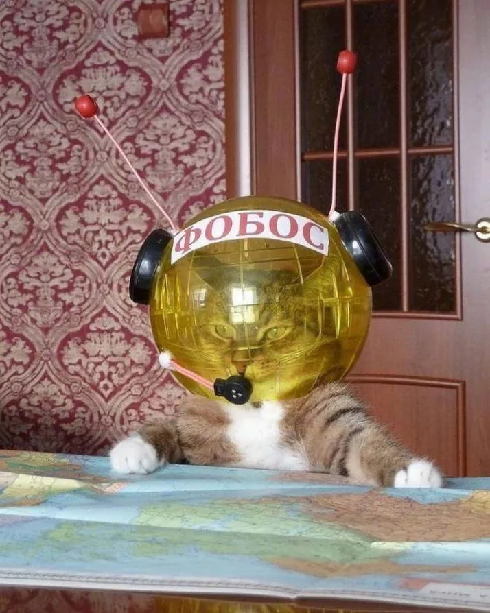 Picdump 586 - #12 