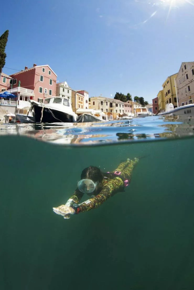 Picdump 586 - #14 