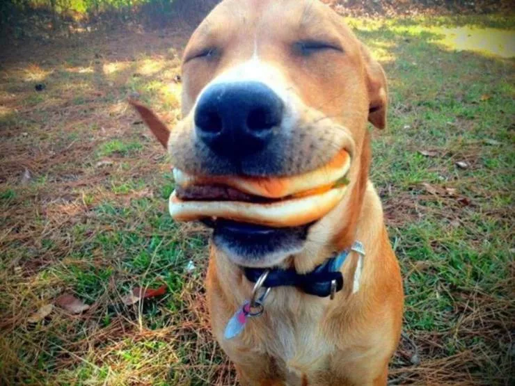 Picdump 586 - #8 