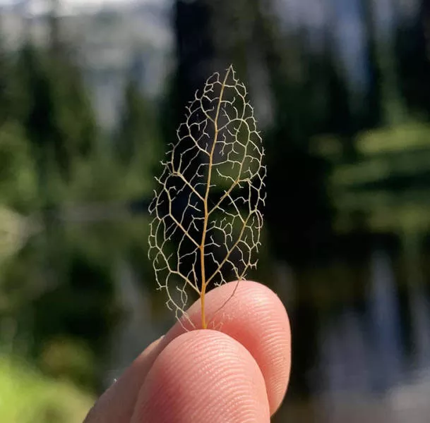 Nature is fantastic - #16 